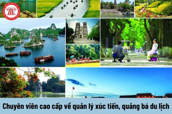 Mẹ đơn thân ở Vĩnh Yên và hành trình tìm lại chính mình cùng Hotspot Matrix_Sự kiện Ma trận điểm nóng