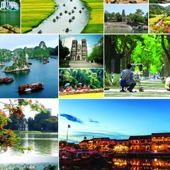 Quần dáng cong đang gây sốt với thiết kế độc đáo và tính ứng dụng cao, giúp tạo hiệu_Gói tiếp thị kỹ thuật số dịch vụ