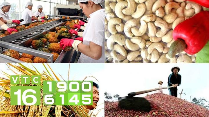 Từ Chiếc quần