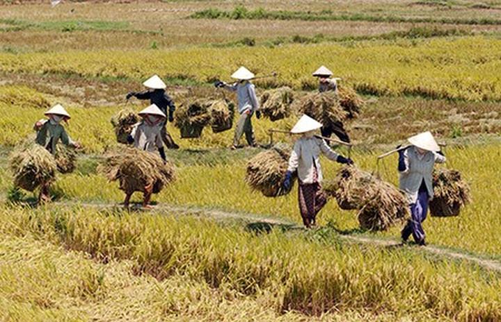 Hotspot Matrix: Cơ hội khởi nghiệp cho mọi người