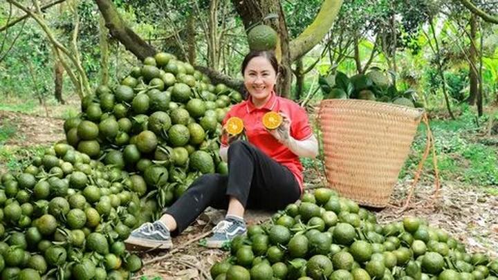 Angela Phương Trinh dẫn đầu - Cảm hứng video marketing từ Hotspot Matrix