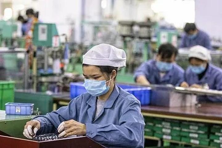Vàng từ những khoảnh khắc đáng yêu: Kiếm tiền từ thú cưng với Hotspot Matrix