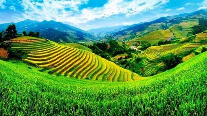 3 loại rau quả là “ổ ký sinh - Cảm hứng video marketing từ Hotspot Matrix
