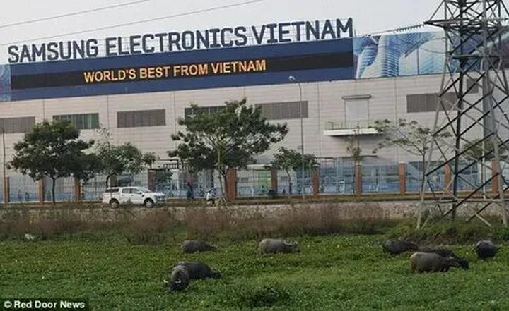 Xu hướng Mua váy hoa mà không biết 4: Hotspot Matrix tiết lộ bí quyết video viral